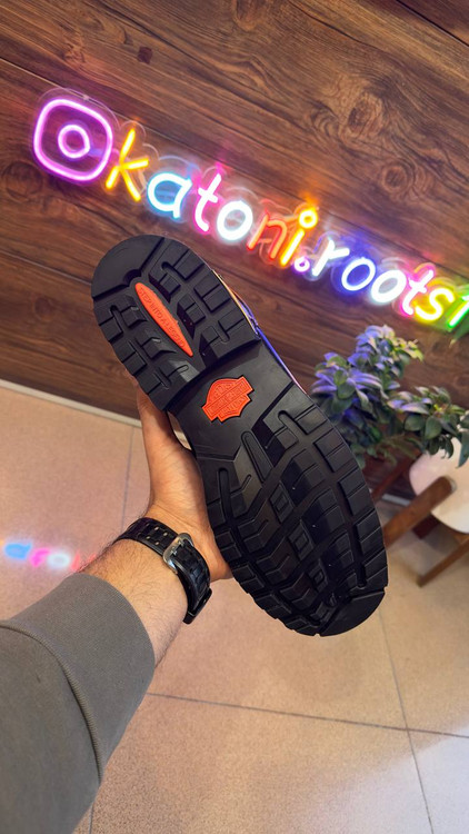 بوت هارلی دیوید سون