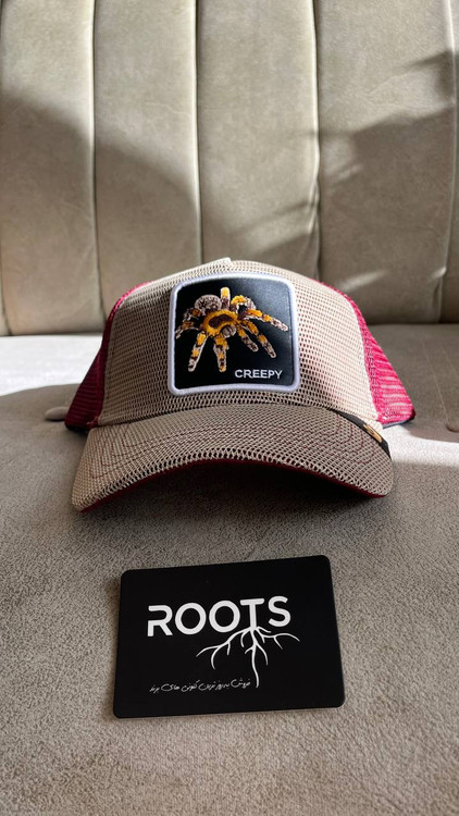 کلاه گورین براز طرح روتیل