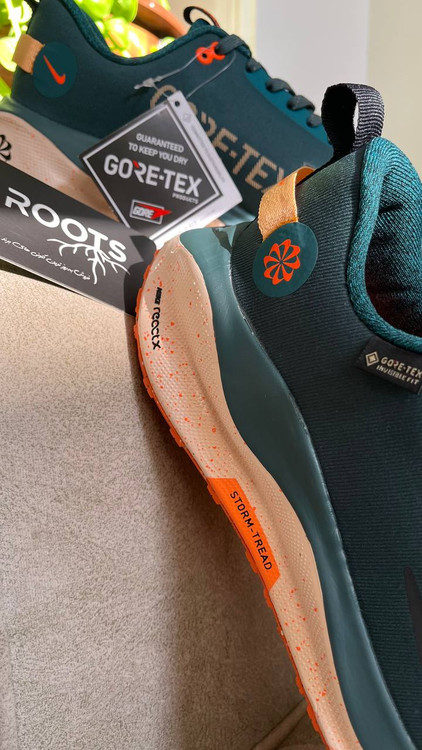 کتونی مردانه نایکی اورجینال تریل