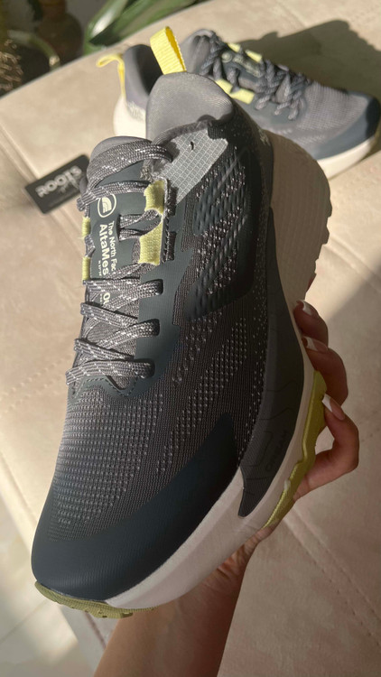 کتونی مردانه نورث فیس