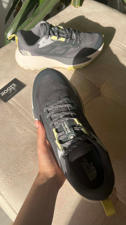 کتونی مردانه نورث فیس